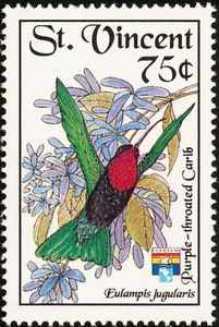 Purple-throated Carib (Eulampis jugularis)